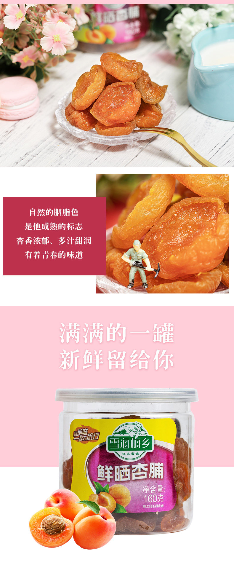 雪海梅鄉(xiāng)鮮曬杏脯160gx3