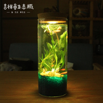 Ornamental ecological bottle fish free water micro landscape diy living room office desktop small mini tank small fish live