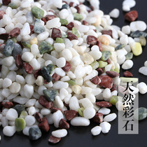 Fish tank bottom sand landscaping sand stone natural bottom sand aquarium decoration white sand stone Ceramsite sand colorful stone color