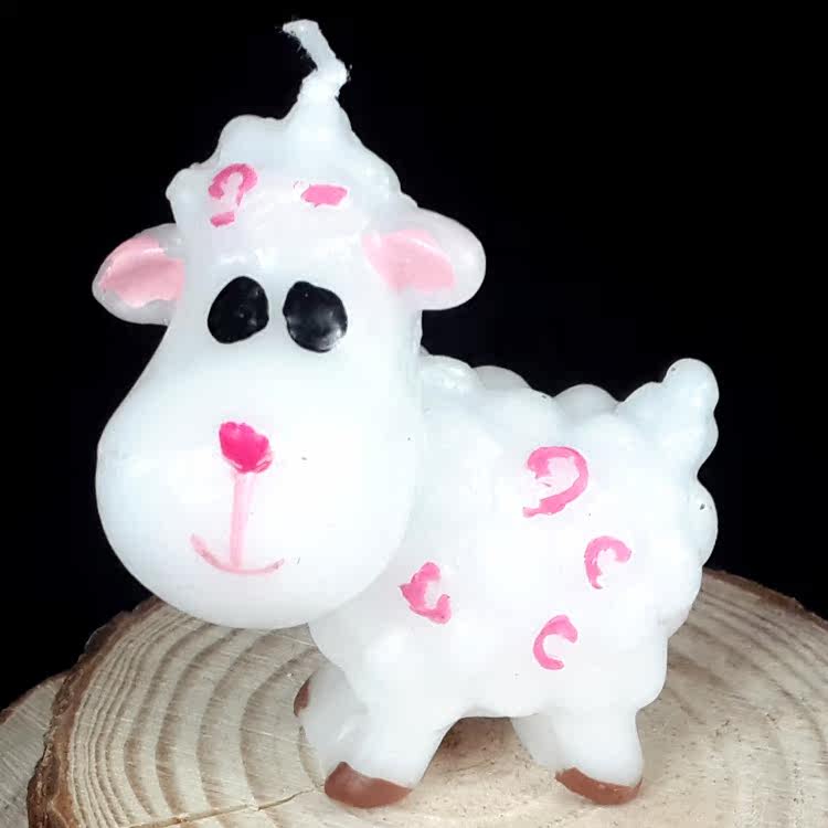 Bougie - Ref 2487082 Image 17