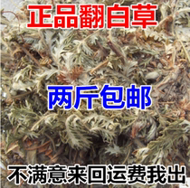 Chinese herbal medicine 500 grams of wild white grass can be matched with 2 pieces of bone skin in the store