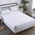 Dragon Kiss Chống mite Cotton Cotton Bed Bed Cotton Cotton đơn chống trượt Giường Bed Mat Simmons Cover - Trang bị Covers Mẫu ga phủ giường Trang bị Covers