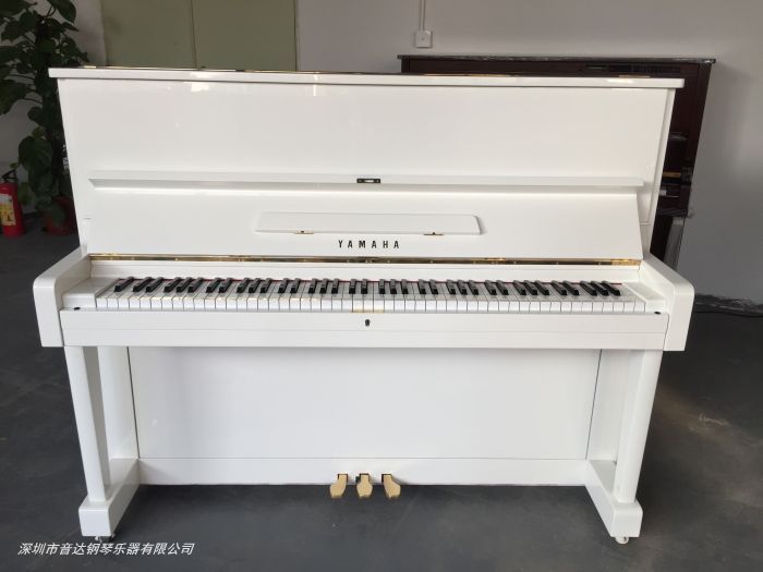 Cho thuê đàn piano Thâm Quyến Đông Tạng cho thuê đàn piano điện miễn phí vận chuyển thuê đầu tiên và mua miễn phí cho thuê tam giác hiệu suất yamaha clp 645