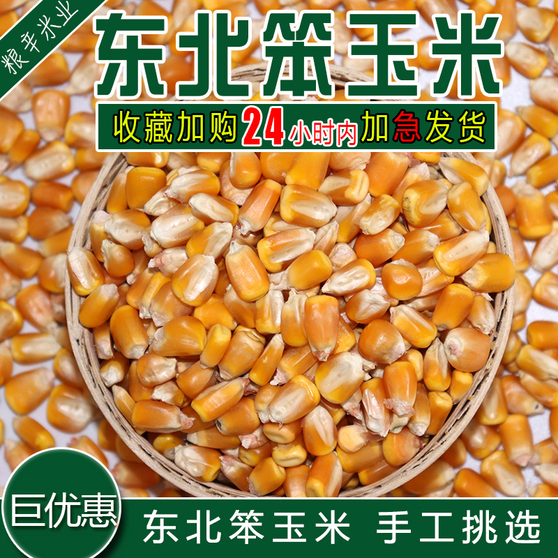 Corn kernels Large dried corn kernels Corn seeds pigeons, chickens, ducks, birds, pigeons, feed, nest bait, 10 pounds