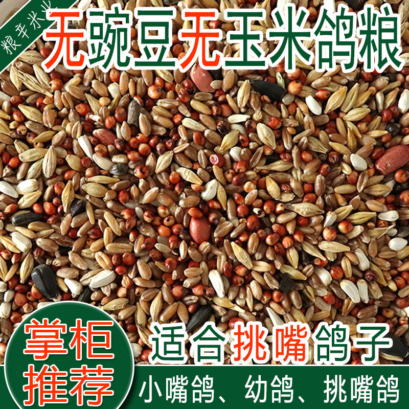 10 catties of corn-free and pea-free young pigeon grain race flying nutritional feed bird food pigeon food ornamental pigeon pigeon food