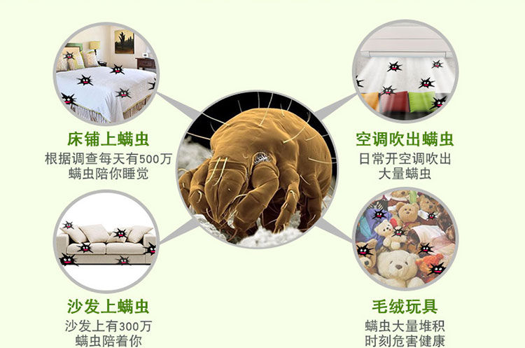 Chim vàng Nhật Bản KINCHO Ngoài bọ ve để dán mạt để diệt bọ ve chống lại mạt giường tinh dầu khuynh diệp - Thuốc diệt côn trùng chai xịt mối
