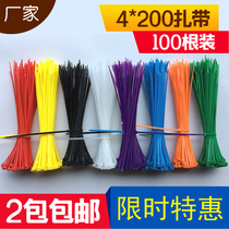 Self-locked plastic colored ribbon 3 * 4 * 5 * 100 * 150 * 200 * 300 nylon tie red yellow green blue black and white