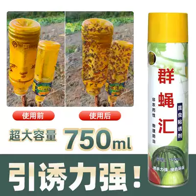 Drosophila Traper, melons, fruit flies, sticky orchards, fruit trees, vegetable fields, insect attractants, needle bee insecticides