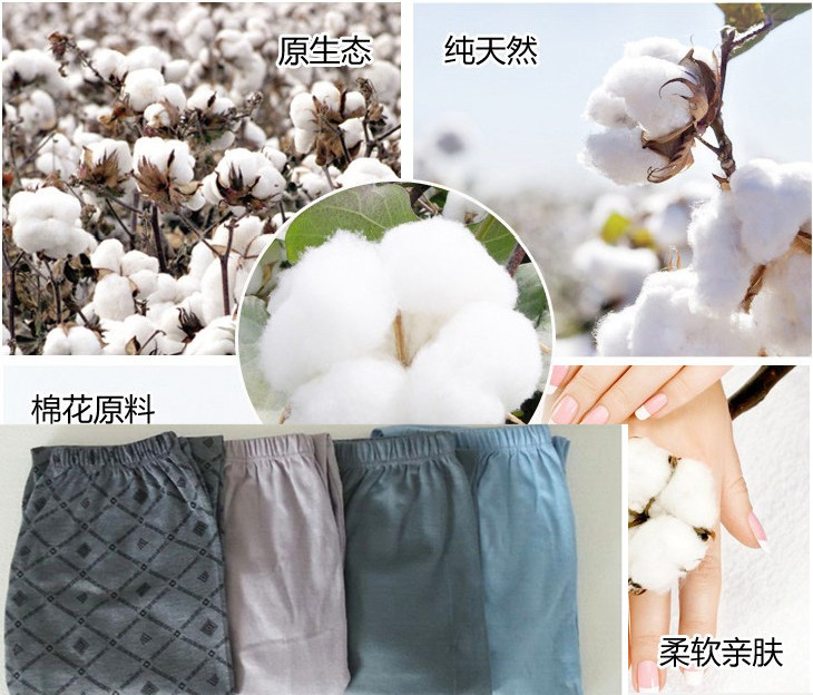 Pantalon collant Moyen-âge simple en coton - Ref 763716 Image 7