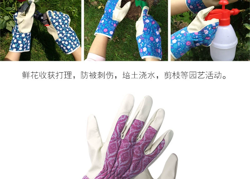 Găng tay làm vườn đồng quê ở Anh để cắt tỉa miếng đệm đầu gối làm vườn để trồng và bảo vệ gai găng tay làm vườn có móng