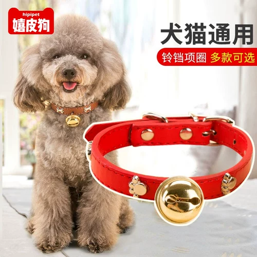 Чокер, колокольчик, ожерелье, аксессуар, кот, котенок, домашний питомец