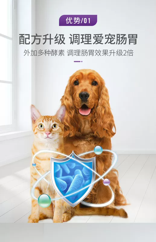 Chó Gudeng Probiotic Pet Puppy Teddy Golden Retriever Điều hòa Mèo tiêu hóa Nôn mửa Tiêu chảy Đặc biệt Kho báu tiêu hóa - Cat / Dog Health bổ sung