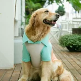 Big Dog Clothing Spring и осень Golden Retraado Shiblado Shibrah Pet средний