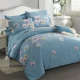 Để đạt được chính hãng Thủy dệt bông chải denim giường bông vải quilt cưới dày giường mùa đông - Bộ đồ giường bốn mảnh