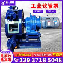 Industrial Hose Pump Chemical Liquid Pulp Transfer Pump High Flow Peristaltic Pump Corrosion Resistant Chemical Squeeze Hose Pump