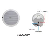 Smart Home Bluetooth ceiling speaker NM-303BT