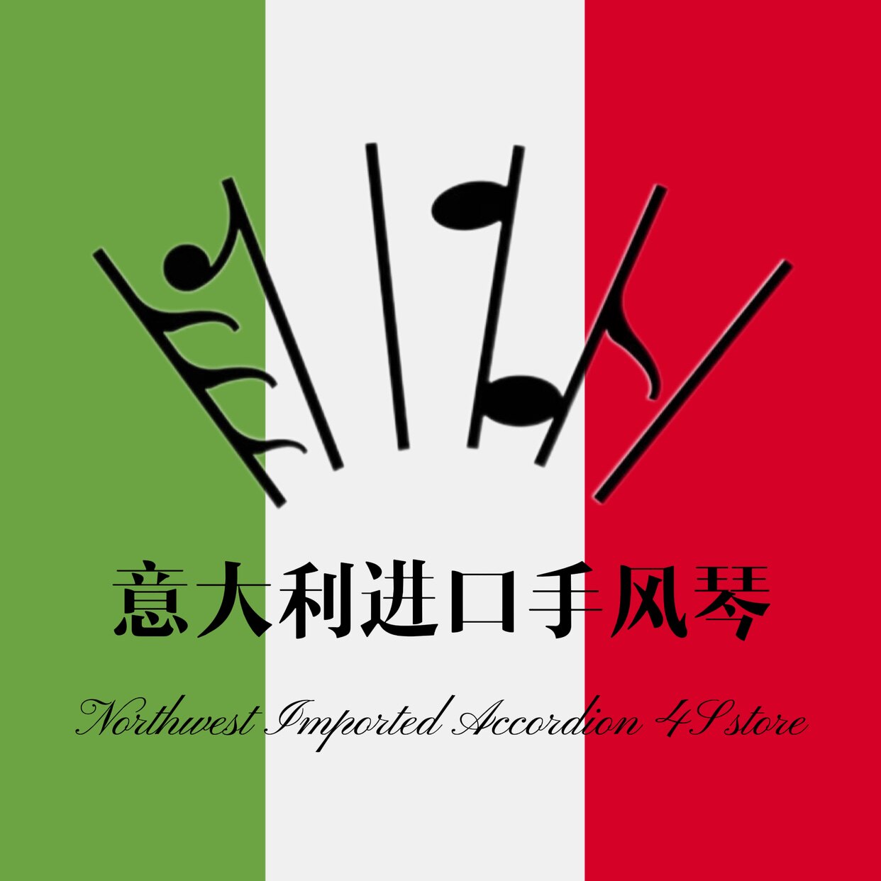 西北进口手风琴体验店