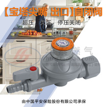 4-division pipe gas safety self-closing valve DN15 natural gas home cooker front anti-leakage gas protection disconnection valve