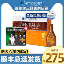 France original Golden point pet skin disease drops Herbal dog fungus off fur shavings deodorant 10-20kg