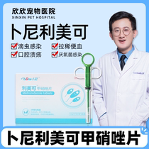 Limeike cat dog pet trichomoniasis protozoa cat skin infection folliculitis stomatitis halitosis halitosis cat metronidazole