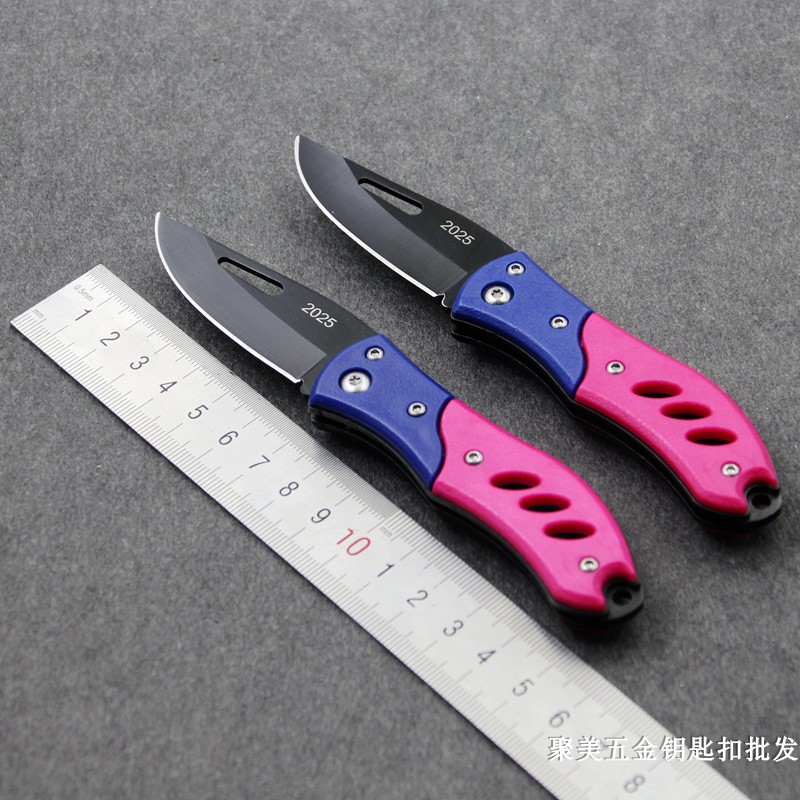New Folding Stainless Steel Knife Wild Survival Knife Fruit Knife Women Carry Self-Defense Knife