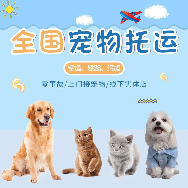 National pet consignment pet travel auto transport door-to-door service cat and dog express pet transport send accident insurance