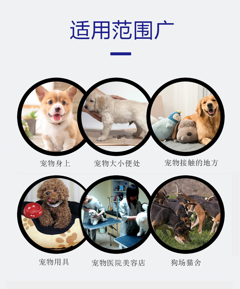 Khử trùng cho chó khử trùng vật nuôi khử trùng cho thú vị - Cat / Dog Beauty & Cleaning Supplies găng tay chải lông mèo hà nội	