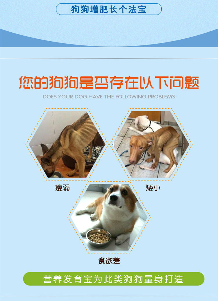 Pet dinh dưỡng chó chó canxi chó con phát triển mèo và chó điều hòa dạ dày tiêu hóa tiêu hóa bột canxi chó - Cat / Dog Health bổ sung 	sữa cho mèo con 2 tháng tuổi