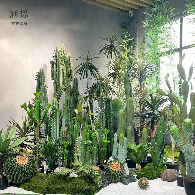 Simulated Cactus Cactus Large Plant Potted Ornaments Indoor Tropical Green Plant Dragon Blood Tree Bonsai Decoration