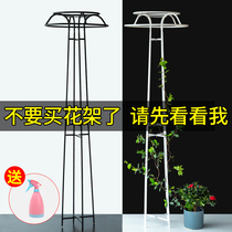 Climbing plant support Rod traction outdoor wrought iron Mushroom umbrella flower stand ball blue rose clematis climbing vine
