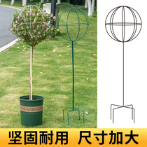 Lollipop flower stand climbing rose blue snowflake windmill Jasmine clematis iron ball gardening climbing bracket