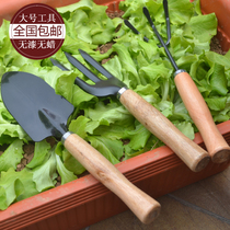 Household fleshy big planting potted gardening tools three-piece set balcony planting vegetable shovel rake hoe