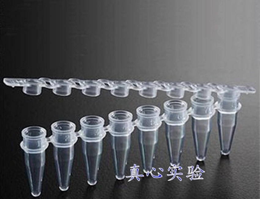 8连管 八连管 8联管 PCR8连管 PCR八连管 （200条/包）