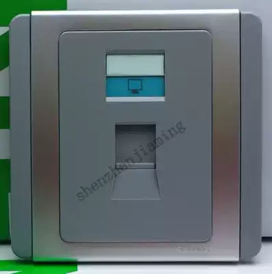 Schneider CLIPSAL Qisheng E3000 Metropolis Series A One Computer Socket Information Socket Silver Gray