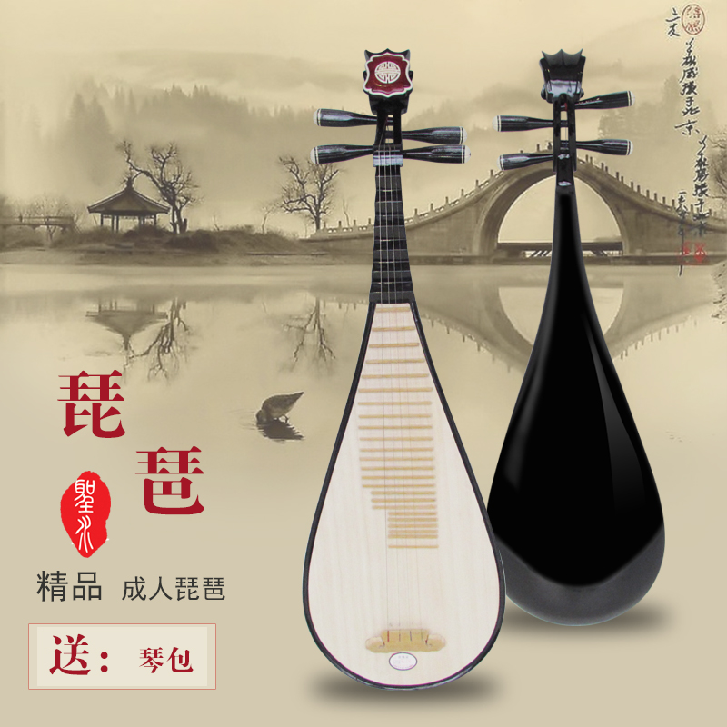 Waves Guitar Pipa Instruments Adults Beginners Beginners Pipa Instruments Adults Playing the Appraisal Exam Electroacoustic Pipa