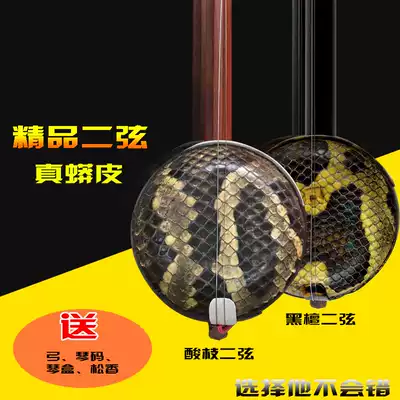 Wave guitar Guangdong Cantonese Opera Sour branch two-stringed piano Chaozhou music musical instrument Western Qin Opera musical instrument Gao Hu musical instrument