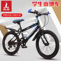 Phoenix childrens bicycle Zhongda boy and girl stroller mountain variable speed bicycle 22 inch girl student bicycle