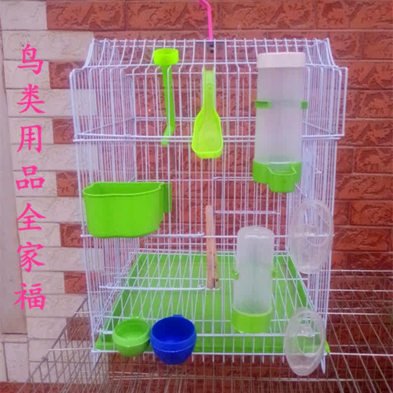 Starling Parrot Pigeon Bird With Automatic Drinker Water Feeder