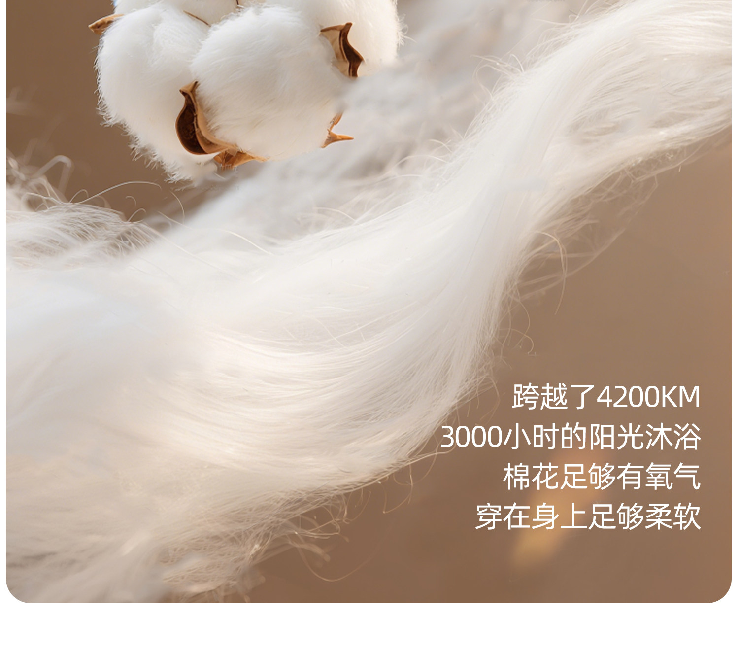 孕妇背心纯棉打底内搭全棉透气春秋款怀孕期专用保暖内衣外穿遮肚 — 8