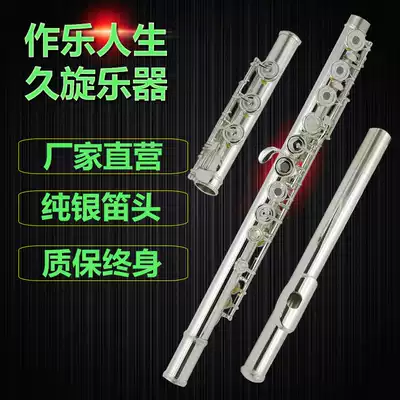 Jiuxuan sterling silver flute instrument 925 sterling silver flute head 17 holes drilling B tail French carved button