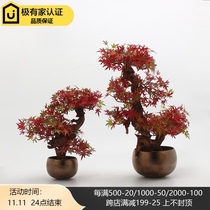 New Chinese Zen simulation Red Maple potted bonsai decoration sales office hotel living room tea room TV Cabinet Accessories