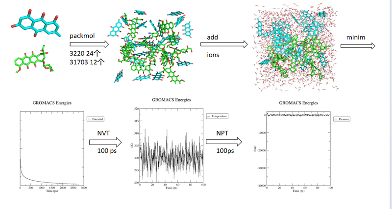 Self-Assembly: Molecular and Molecular Dynamics Simulation Calculations