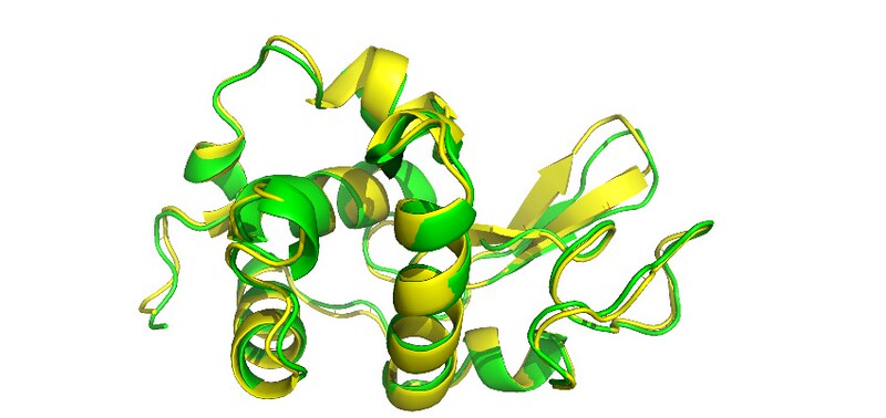 Modeller Homologous Modeling Aphafold Protein Structure Prediction Modeller Homologous Modeling Aphafold Protein Structure Prediction