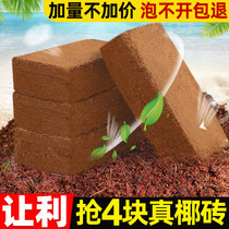 Coconut Brick Nourishing flower Flowers Balcony Seed desalination Planting Coconut Shell Universal Soil 4 Pieces Yea Brick Coconut clear bin