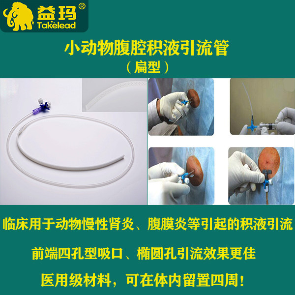 宠物腹腔积液引流管推荐｜25年最新款三通阀扁型管，猫咪脓胸引流神器
