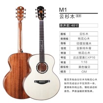 Dadavo m Series Single Board Acoustic Guitar