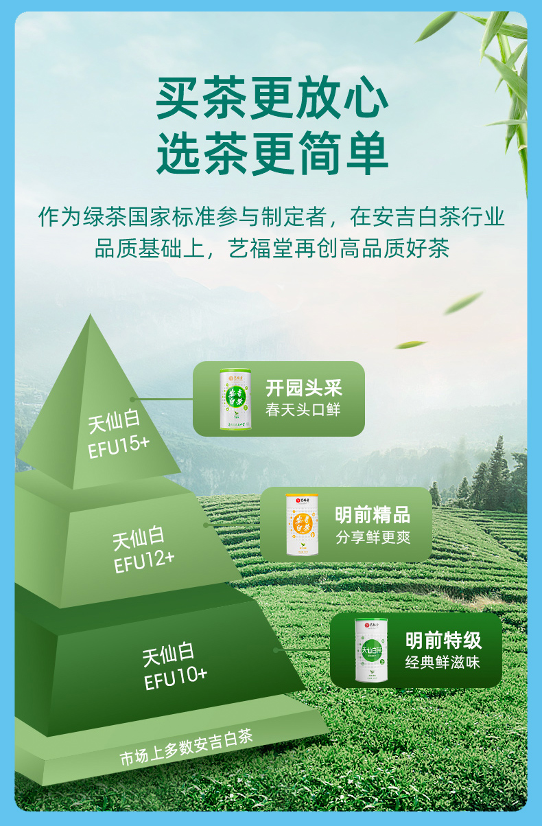 预售 艺福堂 2022新茶 明前特级安吉白茶 100g 图3