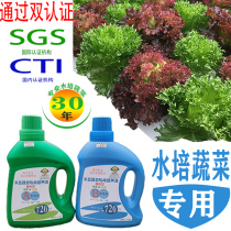 Special nutrient solution for hydroponic vegetables soilless cultivation plant fertilizer water-soluble fertilizer balcony pipe type vegetable AB bottle