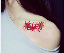 9 9 tattoo stickers waterproof female personality alternative sexy scar shoulder waist leg collarbone the other side Flower Manzhushahua