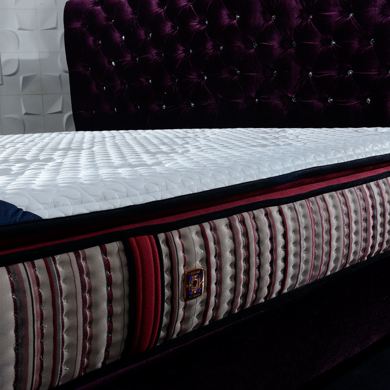 �ձ�˹�������Ϸ����齺����B15-01